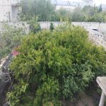 Satılır 6 otaqlı Bağ evi, Saray, Abşeron rayonu 19