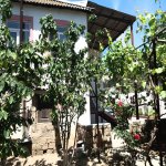 Kirayə (aylıq) 5 otaqlı Bağ evi, Buzovna, Xəzər rayonu 2