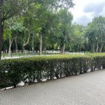 Kirayə (aylıq) 5 otaqlı Ofis, Gənclik metrosu, Koala parkı, Nəsimi rayonu 1