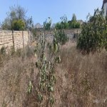 Продажа Участок, Фатмаи, Абшерон район 13