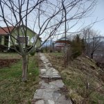 Kirayə (günlük) 3 otaqlı Həyət evi/villa İsmayıllı 6