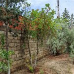 Kirayə (aylıq) 3 otaqlı Bağ evi, Mərdəkan, Xəzər rayonu 12