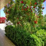 Satılır 4 otaqlı Həyət evi/villa, Mərdəkan, Xəzər rayonu 4