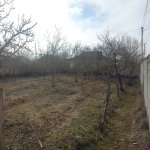 Продажа 4 комнатная Дома/Виллы Сабирабад 8