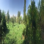 Satılır Torpaq Ağdaş 4