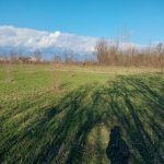 Satılır Torpaq Oğuz 9