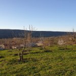 Satılır Torpaq Quba 21