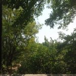 Satılır 4 otaqlı Həyət evi/villa Sumqayıt 7