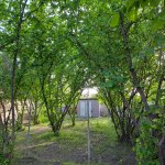 Kirayə (günlük) 3 otaqlı Həyət evi/villa Qax 14