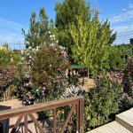 Satılır 5 otaqlı Bağ evi, Şüvəlan, Xəzər rayonu 7