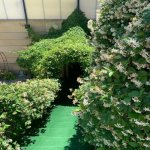 Kirayə (aylıq) 5 otaqlı Həyət evi/villa, Binəqədi rayonu 18