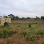 Satılır Torpaq, Fatmayi, Abşeron rayonu 1