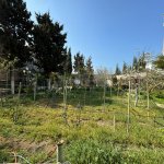 Satılır Torpaq, Mərdəkan, Xəzər rayonu 2