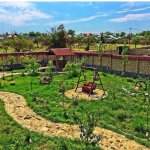 Satılır 5 otaqlı Həyət evi/villa Qəbələ 2