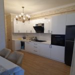 Kirayə (aylıq) 2 otaqlı Yeni Tikili, 28 May metrosu, Nərimanov rayonu 5