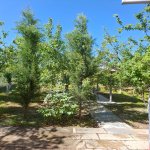 Kirayə (günlük) 3 otaqlı Həyət evi/villa İsmayıllı 2