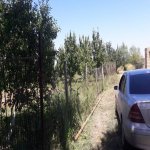 Satılır Torpaq Quba 13