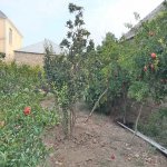 Satılır 3 otaqlı Həyət evi/villa, Dədə Qorqud qəs., Suraxanı rayonu 10