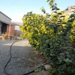 Satılır 5 otaqlı Həyət evi/villa, Binə qəs., Xəzər rayonu 6