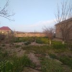 Satılır Torpaq Sumqayıt 5