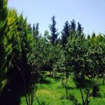 Satılır 4 otaqlı Bağ evi, Şüvəlan, Xəzər rayonu 4