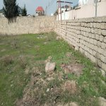 Satılır Torpaq, Maştağa qəs., Sabunçu rayonu 5