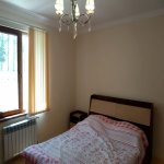 Satılır 6 otaqlı Həyət evi/villa Qəbələ 9