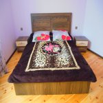 Kirayə (günlük) 6 otaqlı Həyət evi/villa Qəbələ 11