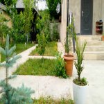 Kirayə (günlük) 4 otaqlı Həyət evi/villa Qusar 33