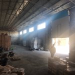 Kirayə (aylıq) Obyekt, Suraxanı qəs., Suraxanı rayonu 3