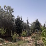 Satılır 6 otaqlı Bağ evi, Novxanı, Abşeron rayonu 9