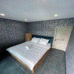 Kirayə (günlük) 5 otaqlı Bağ evi Qəbələ 6