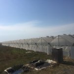 Satılır Torpaq, Dədə Qorqud qəs., Suraxanı rayonu 1