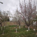 Satılır 4 otaqlı Bağ evi, Saray, Abşeron rayonu 2