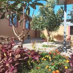 Kirayə (günlük) 3 otaqlı Həyət evi/villa İsmayıllı 9