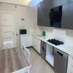 Kirayə (aylıq) 2 otaqlı Yeni Tikili, Gənclik metrosu, Nərimanov rayonu 8