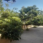 Kirayə (günlük) 3 otaqlı Həyət evi/villa İsmayıllı 20