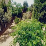 Kirayə (aylıq) 5 otaqlı Bağ evi, Novxanı, Abşeron rayonu 7