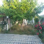 Аренда 5 комнат Дача, Шювалан, Хязяр район 3