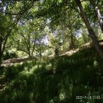 Satılır 3 otaqlı Həyət evi/villa İsmayıllı 17