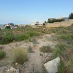 Продажа Участок, Горадиль, Абшерон район 3