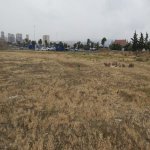 Satılır Torpaq Xırdalan 11