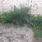 Satılır 6 otaqlı Həyət evi/villa, Masazır, Abşeron rayonu 20