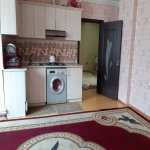 Kirayə (günlük) 3 otaqlı Yeni Tikili, 28 May metrosu, Nəsimi rayonu 16