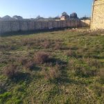 Satılır Torpaq, Saray, Abşeron rayonu 5