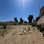 Satılır Torpaq, Mərdəkan, Xəzər rayonu 5