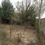 Satılır Torpaq, Saray, Abşeron rayonu 2
