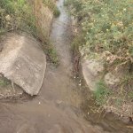 Satılır Torpaq Ağstafa 4