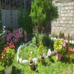 Kirayə (günlük) 3 otaqlı Həyət evi/villa Quba 8