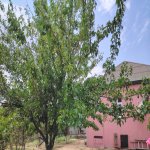 Satılır 4 otaqlı Bağ evi, Saray, Abşeron rayonu 17